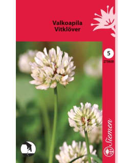 VALKOAPILA  SIEMEN Main Image