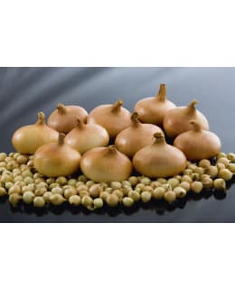 STUTTGARTER RIESEN 500g ISTUKASSIPULI Main Image