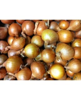 FI:SALOTTI 500g JAKOSIPULI Main Image