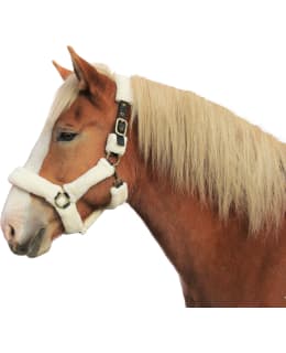 SPIRIT X-FULL PEHMUSTETTU RIIMU Main Image