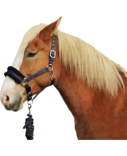 SPIRIT T.SIN. XFULL RIIMU + NARU Main Image