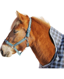 SPIRIT TURVALTA AUKEAVA RIIMU FULL Main Image