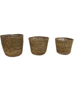 VALLEY SEAGRASS MUOVITETTU L KORI Main Image