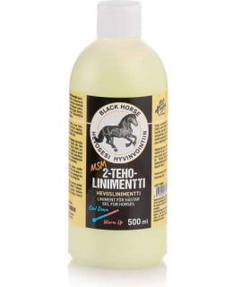 BH +MSM 500ML KAKSITEHOLINIMENTTI Main Image