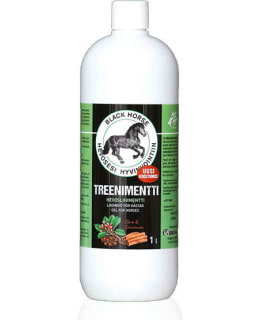 BLACK HORSE TREENIMENTTI Main Image
