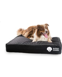 BUDDYGUARD 90X60CM M MU KOIRAN PETI Main Image