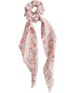 CAILAP 434261 HUIVIDONITSILAJITELMA Main Image