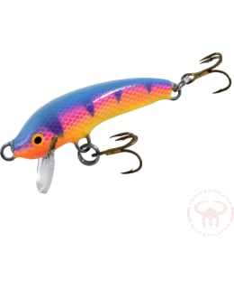 NILS MASTER INVINC FL 5 CM 018 VAAP Main Image