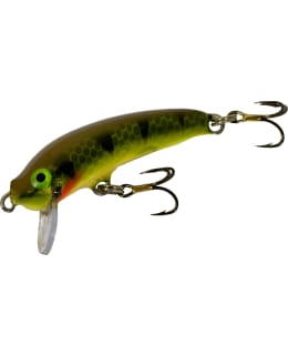 NILS MASTER INVINCIBLE FL 5 CM 191 VAAP Main Image