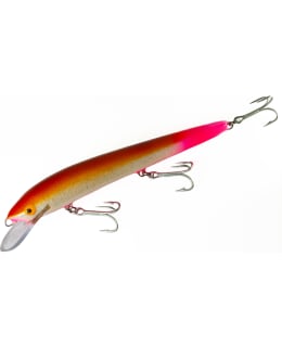 NILS MASTER INVINCIBLE 15 227 VAAPPU Main Image