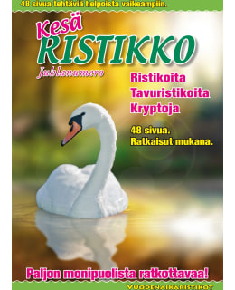 A4 RISTIKKOKIRJA / KRYPTO Main Image