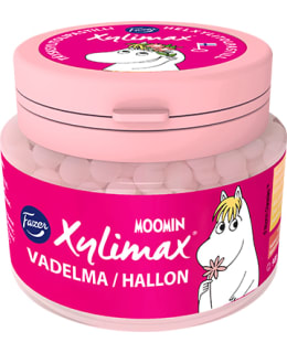 XYLIMAX MOOMIN 90 G VADELMAPASTILLI Main Image