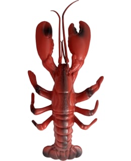 Crayfish decoration 28 x 15 cm Main Image
