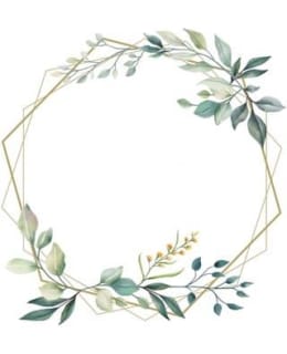 KRANSSI 12X20KPL 25CM LAUTASLIINA Main Image