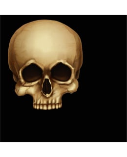 HALLOWEEN PÄÄKALLO 20KPL LAUTASLIINA Main Image