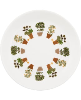 KOTI PUUTARHA 17CM LAUTANEN Main Image