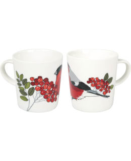 KOTI PUNATULKKU MUKI Main Image