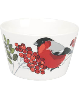 KOTI PUNATULKKU D11 KIPPO Main Image