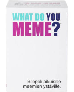WHAT DO YOU MEME? -MEEMIPELI Main Image