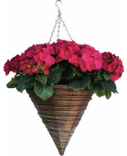 RATTAN HANGING BASKET Main Image