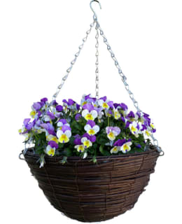 RATTAN HANGING BASKET Main Image