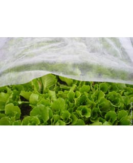 TARHA PEITEHARSO 3,2x9,4m Main Image