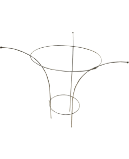 TARHA PIONI 30/60 K90CM KASVITUKI Main Image