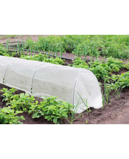 TARHA KASVUTUNNELI Main Image