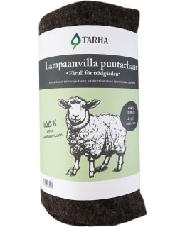 LAMPAANVILLA TARHA 4M2 Main Image