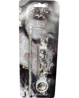 RACHAELHALE 4-OS KIRJOITUSSETTI Main Image