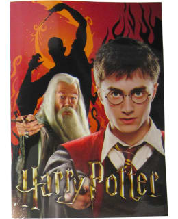 HARRY POTTER DUMBLEDORE VÄRITYSKIRJA Main Image