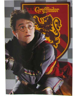 HARRY POTTER GRYFFINDOR VÄRITYSKIRJA Main Image