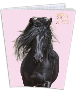 PINK HORSE A4 NIDOTTU VIHKO Main Image