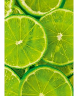 TACTIC LIME MUISTIKIRJA Main Image