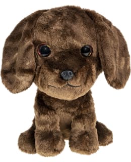 LUMO STARS LABRADOR RETR CHOCO 24CM Main Image