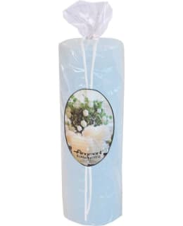 FINNMARI 20CM V.SIN KUKKAKYNTTILÄ Main Image