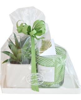 FINNMARI ALUSTA+MEHIK+KYNT LAHJAPKT Main Image