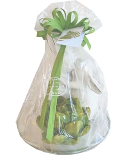 FINNMARI LASIALUSTA+KYNT+PUPU LAHJAPKT Main Image