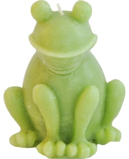 FINNMARI 8X7X10CM VI SAMMAKKOKYNTTILÄ Main Image