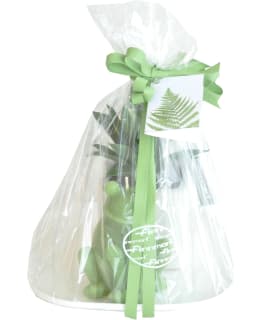 FINNMARI LP12107 ALUSTA+KYNT LAHJAPKT Main Image