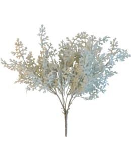 FINNMARI KUKKA286 40 HA VILLAKKO OKSA Main Image