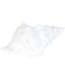 FINNMARI SISCNA394 16X9,5X10,5 KORISTE Main Image