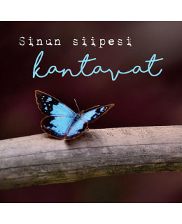 LINNAPAPERI MTFM-15 MAGNEETTI Main Image