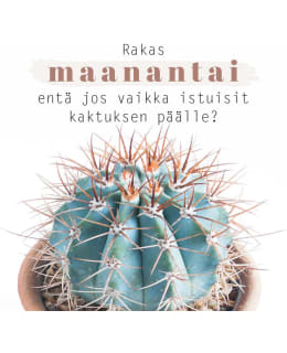 LINNAPAPERI MTFM-24 MAGNEETTI Main Image