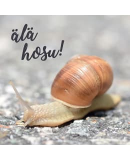 LINNAPAPERI MTFM 39 MAGNEETTI Main Image