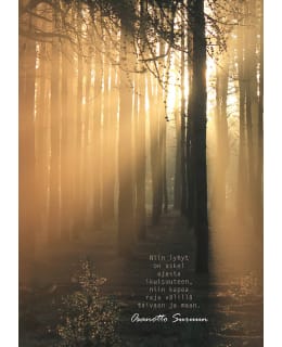 LINNAPAPERI AD-07 MUISTOADRESSI Main Image