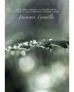 LINNAPAPERI AD-12 ADRESSI Main Image