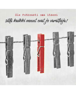 LINNAPAPERI MTFM-60 MAGNEETTI Main Image