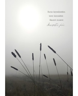 LINNAPAPERI AD-13 ADRESSI Main Image