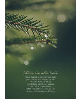 LINNAPAPERI AD-15 ADRESSI Main Image